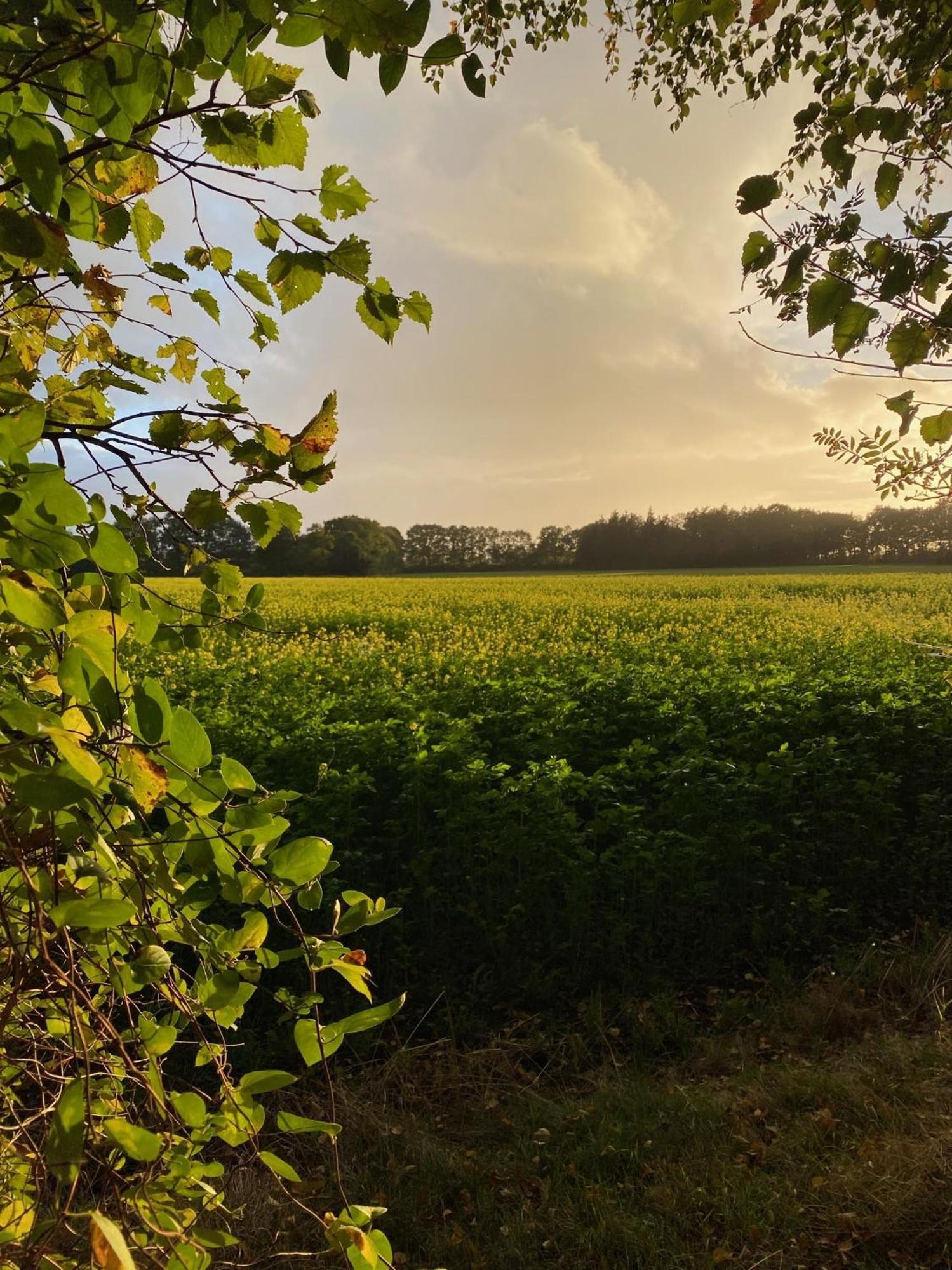 Twisterhof, Appartement Anna, Sustrum 外观 照片