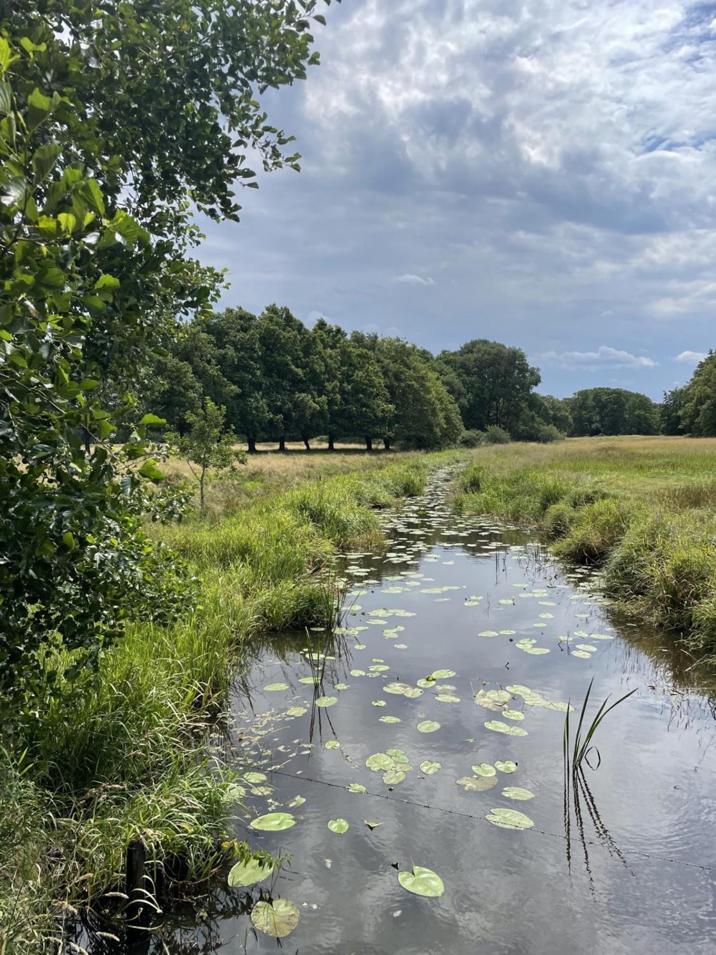 Twisterhof, Appartement Anna, Sustrum 外观 照片
